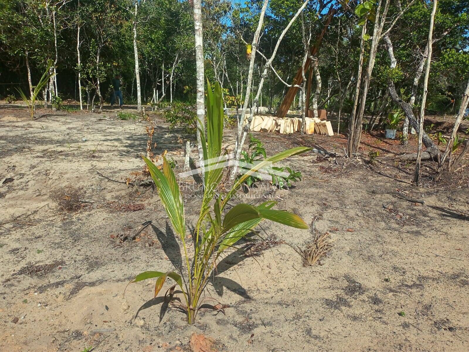 Terreno à venda, 500m² - Foto 4