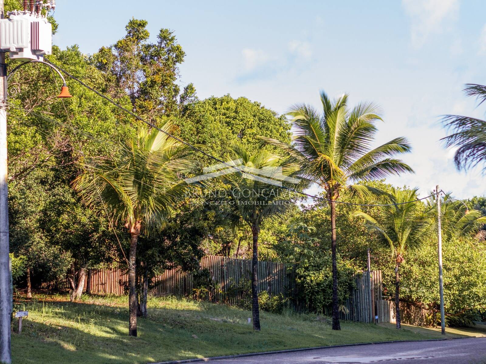 Terreno à venda, 1419m² - Foto 10