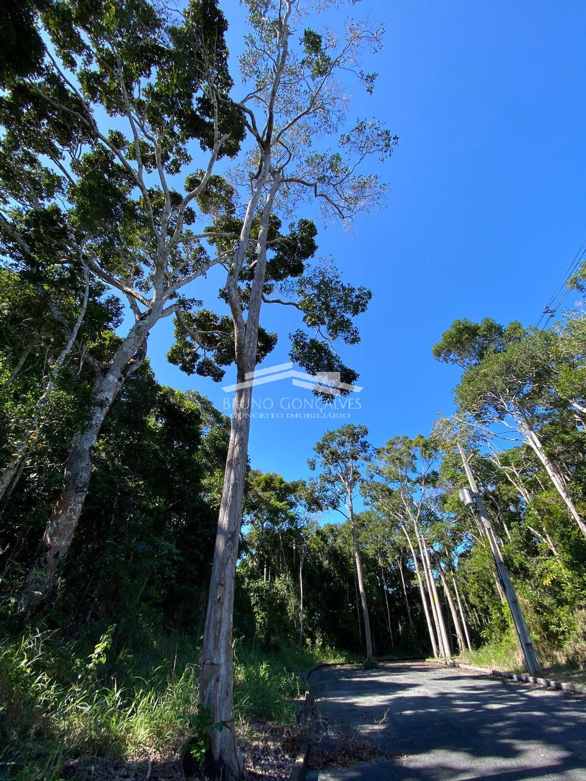 Terreno à venda, 500m² - Foto 16