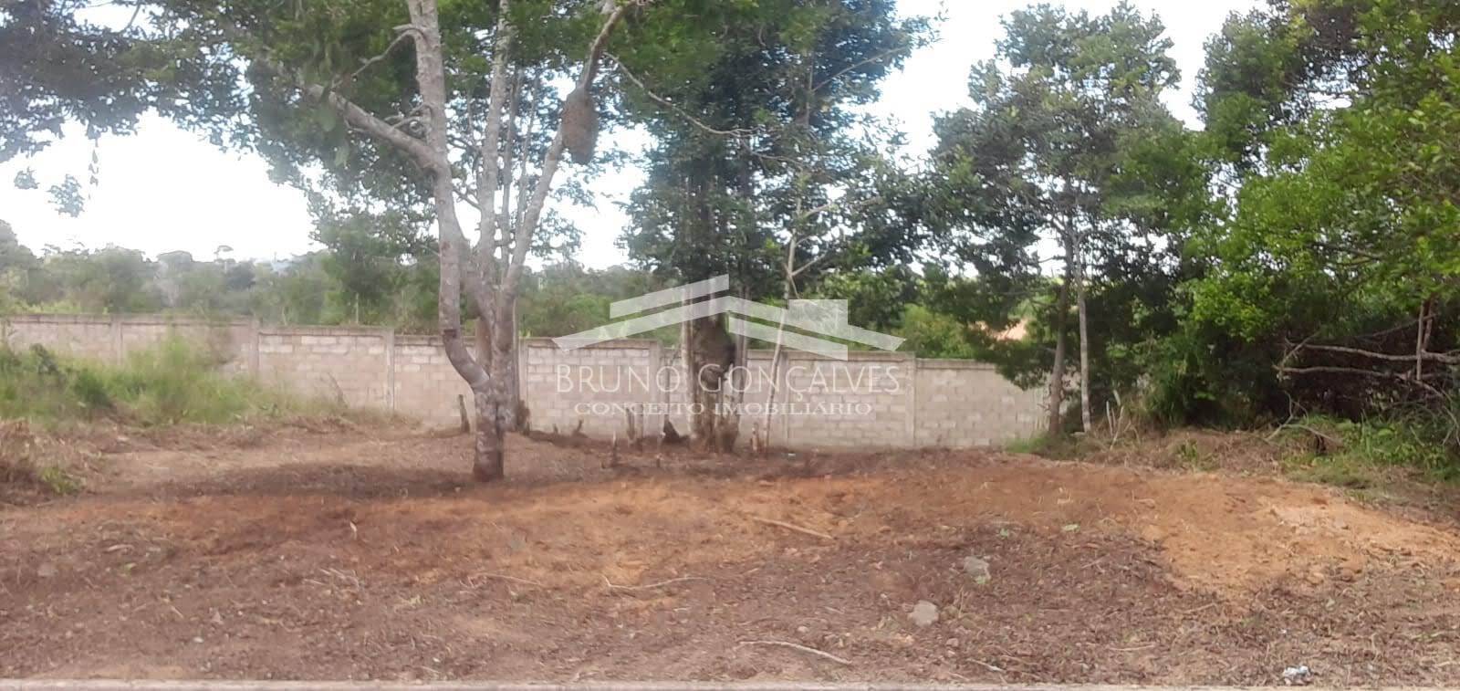 Terreno à venda, 250m² - Foto 4